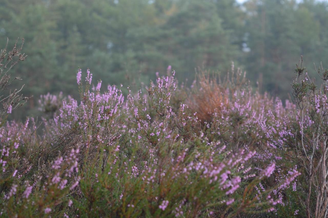 B&B De Loenense Bossen 외부 사진
