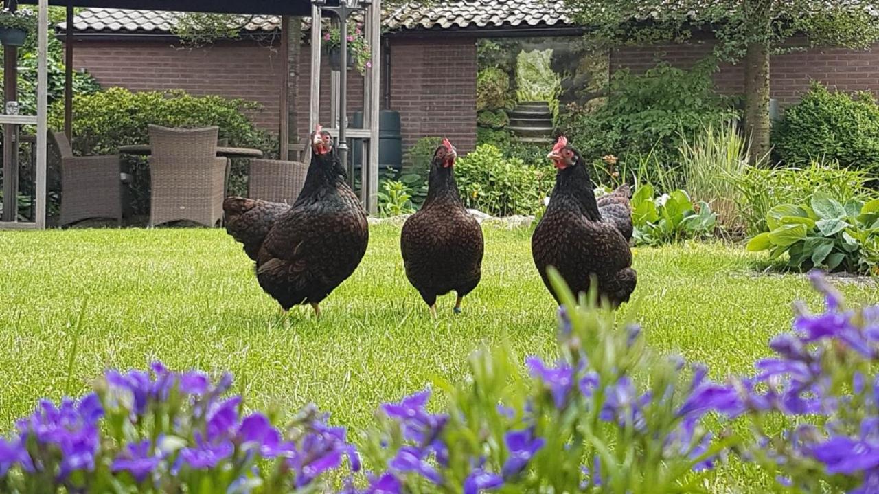 B&B De Loenense Bossen 외부 사진